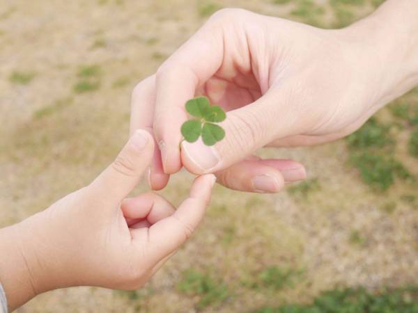 クローバーの花言葉が鳥肌モノ！　「幸運のイメージしかなかった」「必死に探してたのに」