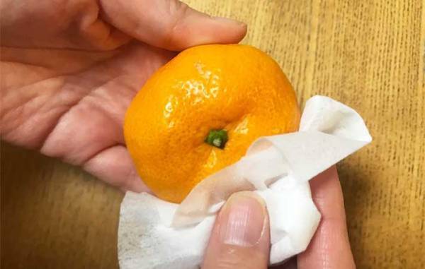 慌てて食べなくていい！　ミカンの鮮度を２週間キープする方法に「たったそれだけ！？」