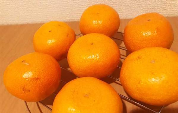 慌てて食べなくていい！　ミカンの鮮度を２週間キープする方法に「たったそれだけ！？」
