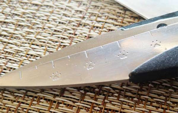 使い勝手バツグン！　ネコ好きならダイソーの『キッチンハサミ MEOW』は絶対に買い