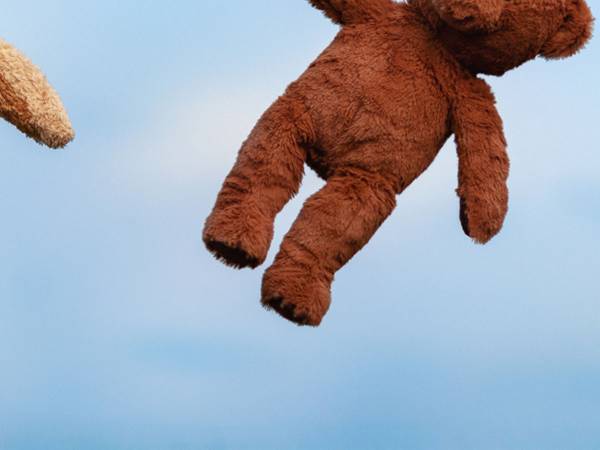 ぬいぐるみを『手洗い』する時の注意点 花王の投稿に「知らなかった！」