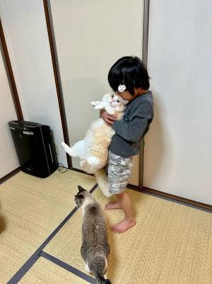 「けしからん！」「参加したい」　母親が撮影した『息子の行動』に、うらやむ声