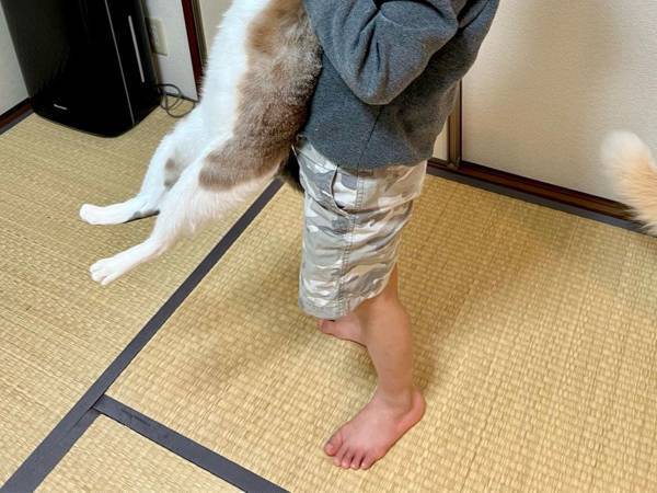 「けしからん！」「参加したい」　母親が撮影した『息子の行動』に、うらやむ声