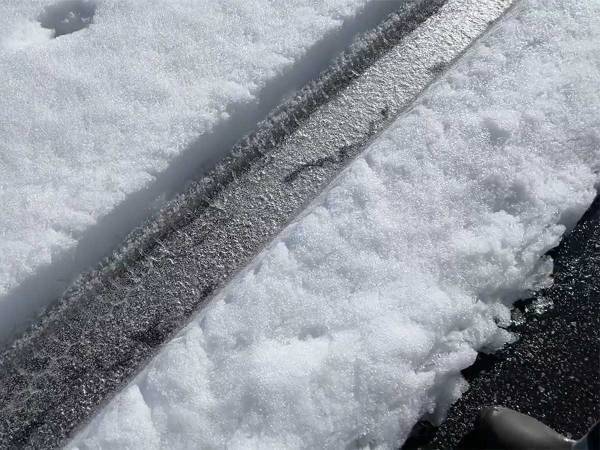 タイヤ跡の下をニョロニョロ動く『物体』　１０万人が注目した、その正体とは