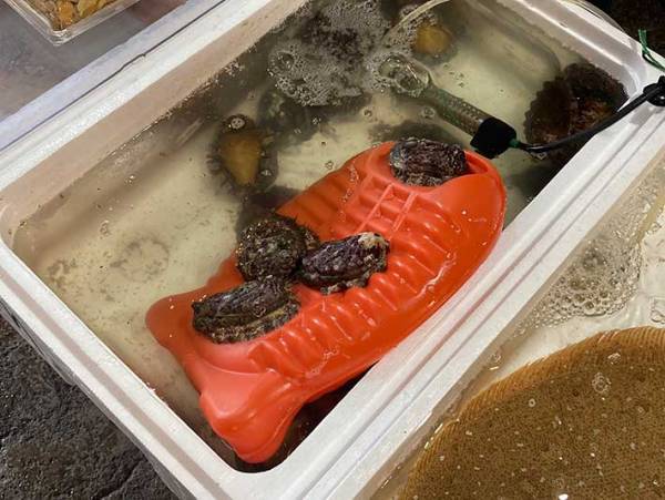 「青森県民だけど、初めて見たわ！」「笑った」　湯たんぽで暖をとっていたのは…？