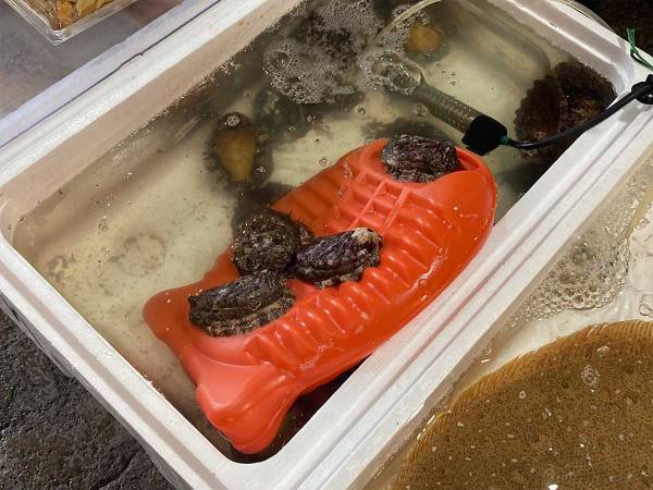 「青森県民だけど、初めて見たわ！」「笑った」　湯たんぽで暖をとっていたのは…？