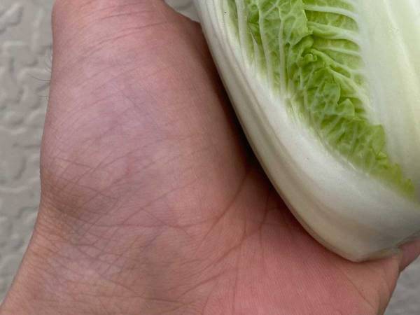 手に取りたくなる…　うっかりミスから生まれた『野菜』に１４万人が注目