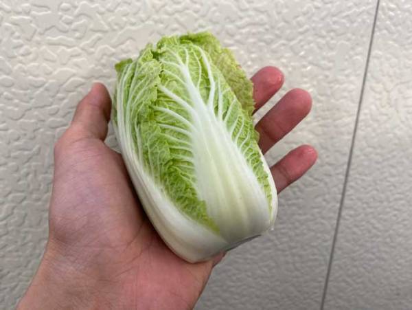 手に取りたくなる…　うっかりミスから生まれた『野菜』に１４万人が注目