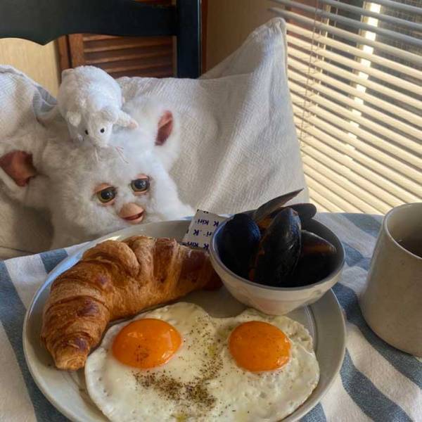 「こんな週末を過ごしたい」　おいしそうな朝食の前でウトウトしているのは？　写真に癒される人続出