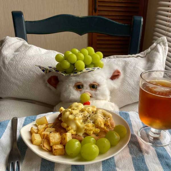 「こんな週末を過ごしたい」　おいしそうな朝食の前でウトウトしているのは？　写真に癒される人続出