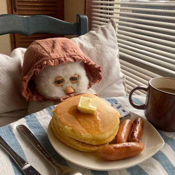 「こんな週末を過ごしたい」　おいしそうな朝食の前でウトウトしているのは？　写真に癒される人続出