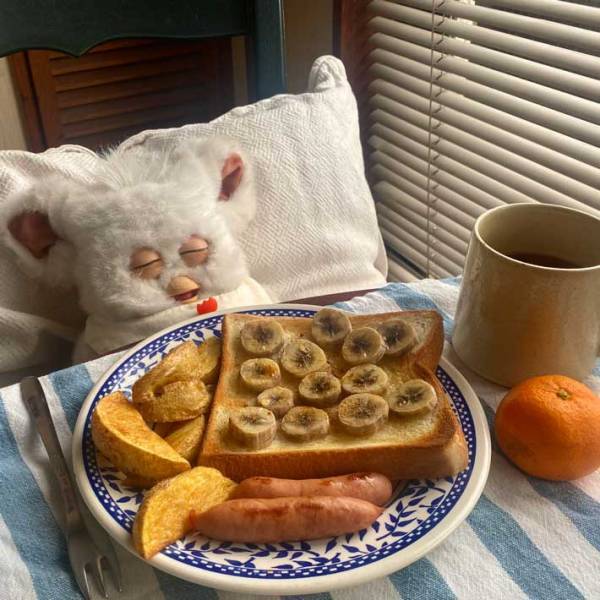 「こんな週末を過ごしたい」　おいしそうな朝食の前でウトウトしているのは？　写真に癒される人続出