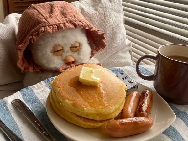 「こんな週末を過ごしたい」　おいしそうな朝食の前でウトウトしているのは？　写真に癒される人続出