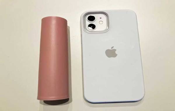 ペットの毛ともおさらば！　外出先で活躍してくれるダイソーの携帯できる『ほこり取り』