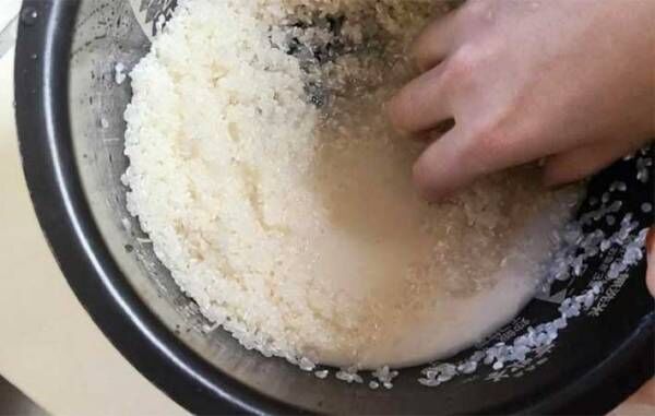 『米のとぎ汁』でヨーグルトを作る方法　「意外と簡単！」「コクがすごい」