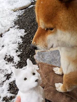 高校生の長男が、雪の日に送ってきた写真　光景に「素敵！」「優しい世界」