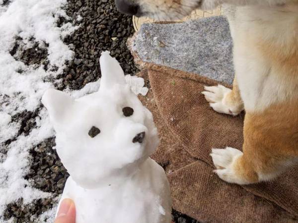 高校生の長男が、雪の日に送ってきた写真　光景に「素敵！」「優しい世界」