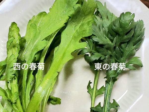日本の東と西で『春菊』が大きく違う！？　比較に「知らなかった」と驚く声も