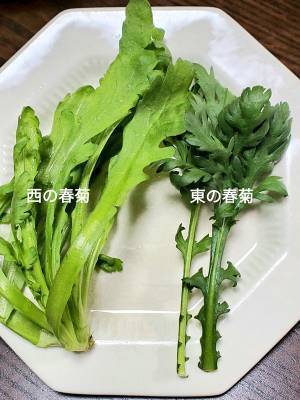 日本の東と西で『春菊』が大きく違う！？　比較に「知らなかった」と驚く声も