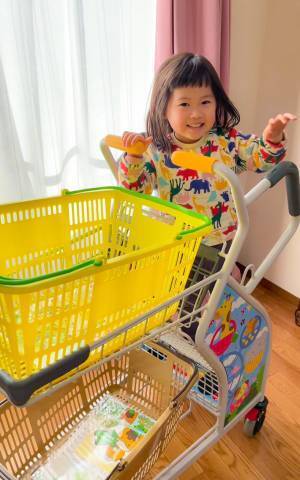 お店のショッピングカートに「考案者は天才か！？」「めっちゃいい！」