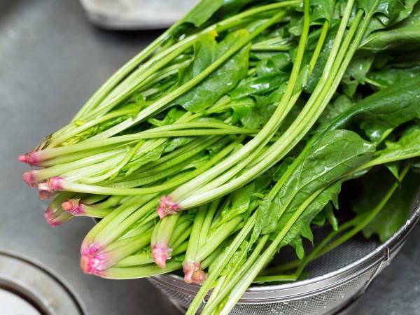 「ほうれん草の根本を洗うのに時間がかかる」　土井先生からのアドバイスに「美しい考え方」「グッときた」の声