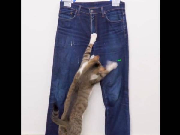 ある男性が考えた『ダメージデニム』の作り方が絶賛される　「画期的」「天才だ！」