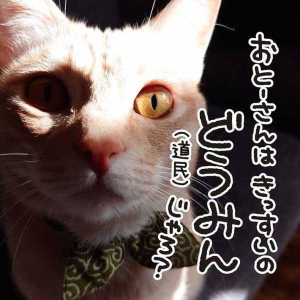 息子と愛猫に話しかける夫　発したのは赤ちゃん言葉ではなく…？