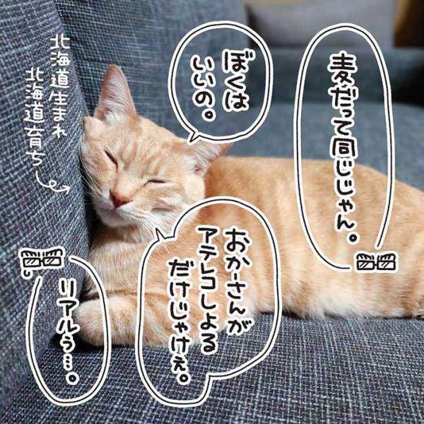 息子と愛猫に話しかける夫　発したのは赤ちゃん言葉ではなく…？