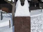 「先生ぇ～ッ！」「徳を積んでいそう」　博物館の銅像が、雪でシュールな姿に！