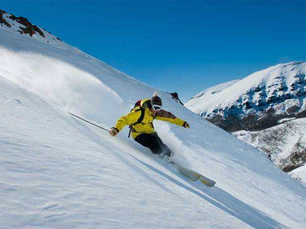 山でスキーをしていた男性　突然現れた『競走相手』に大興奮　「なんてクール！」