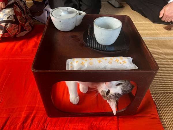 読経中に、あわや爆笑！？　住職「絶対に笑ってはいけない法事２０２３が開催された」