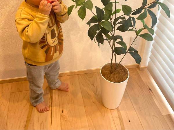 「この子はお水をあげなくていいんだよ」と伝えた母親　それを聞いた２歳児が？