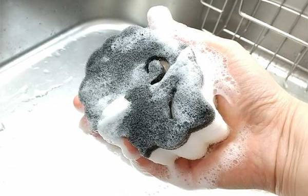 地味に置き場所に困るスポンジ　ダイソーの『キッチン商品』に「めっちゃいい」「片手でポンッ！」