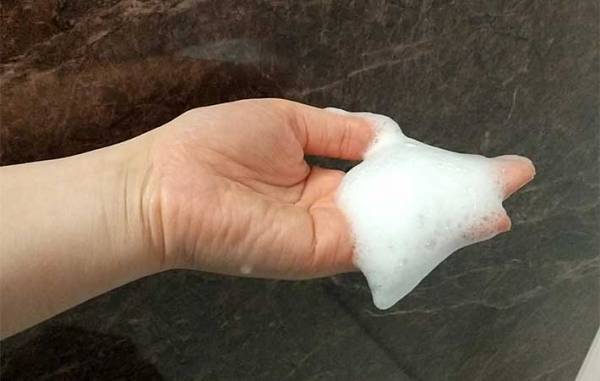 「大容量版も欲しい」「早く買うべきだった…」　ダイソー総選挙５位の商品『ほいっぷるん』とは？