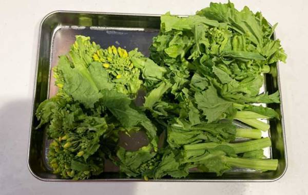 青菜のおひたしがレベルアップ！　少しの手間でおいしくなる『醤油洗い』とは？