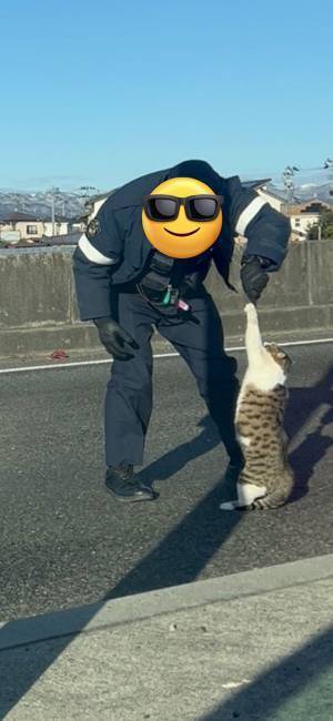 警察官に捕獲される直前の『侵入者』　抵抗する姿に「ほほ笑ましい」