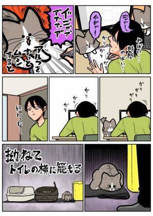 飼い主が猫に構ってあげられなかった結果？　感情むき出しな姿をご覧ください