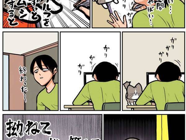 飼い主が猫に構ってあげられなかった結果？　感情むき出しな姿をご覧ください