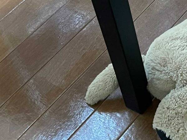 朝５時のキッチンで、笑いが止まらなくなった　その理由に「爆笑」「あるある！」