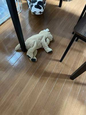 朝５時のキッチンで、笑いが止まらなくなった　その理由に「爆笑」「あるある！」