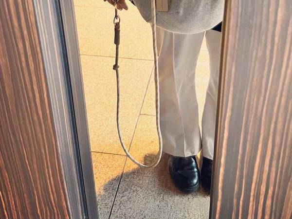 マダム「ずっとファーバッグだと思ってたから…」　エレベーターでのエピソードに、心が和む