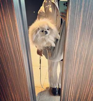 マダム「ずっとファーバッグだと思ってたから…」　エレベーターでのエピソードに、心が和む