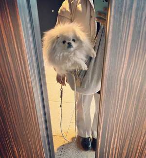 マダム「ずっとファーバッグだと思ってたから…」　エレベーターでのエピソードに、心が和む