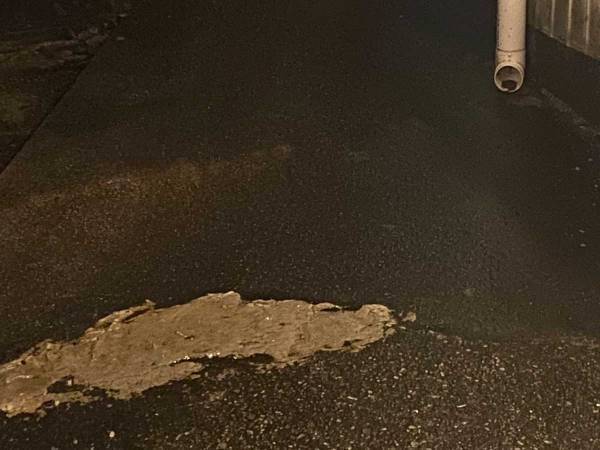 「うわ！人間だ…」　びっくりしてお互いに硬直、夜道で出会ったのは？