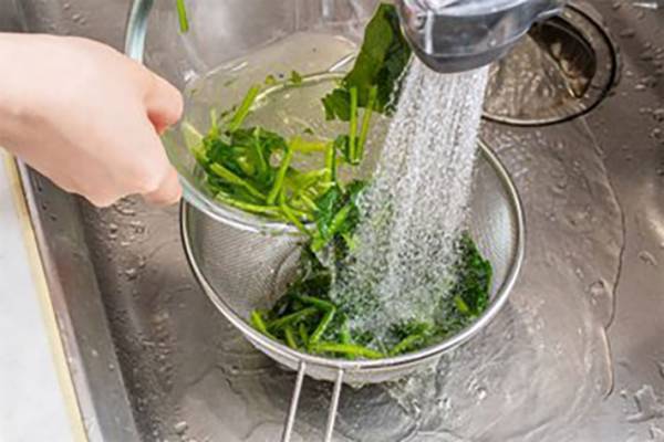 ほうれん草を買ったら、冷蔵庫に入れる前にコレをして！　知らないと３日でビタミンCが３０%減