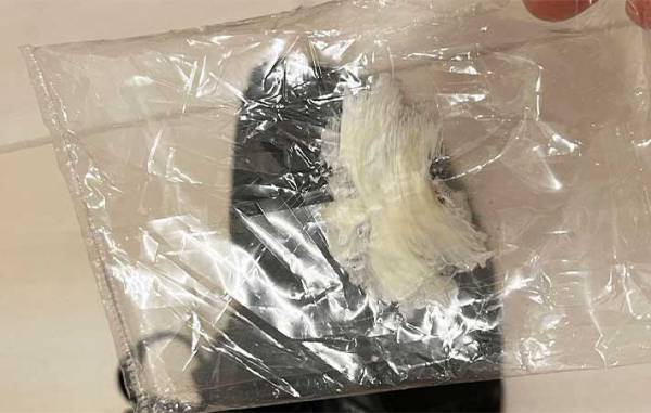 靴底に付いて取れないガムが一瞬でポロッ！　簡単すぎる方法に「信じられない」「いいこと知った」