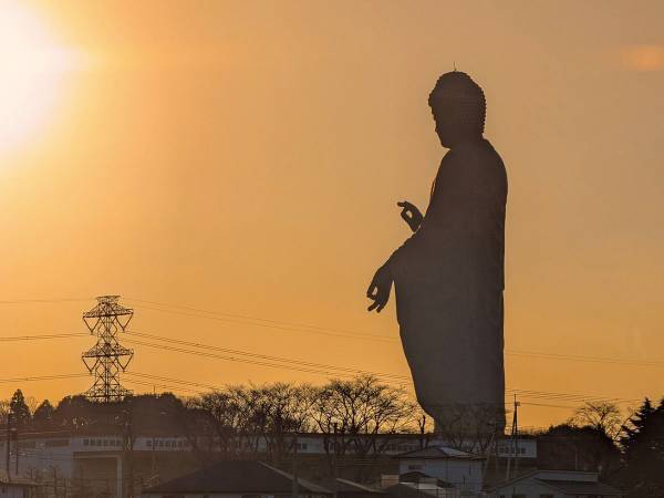 「強烈な波ァが出ていそう」　牛久大仏を横から撮った写真に、反響が上がった理由は？