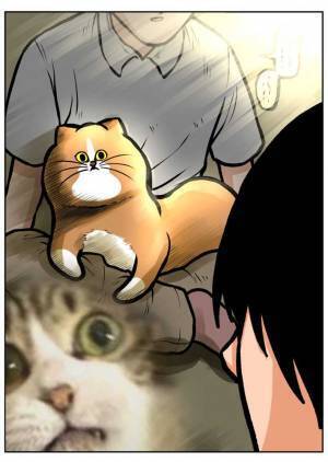 おならをした飼い主　近くにいた猫が、露骨な反応　「腹筋崩壊した」