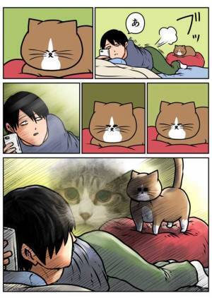 おならをした飼い主　近くにいた猫が、露骨な反応　「腹筋崩壊した」