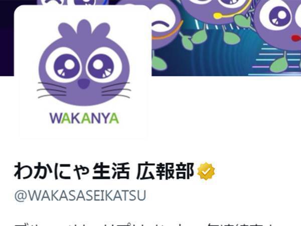 『わかさ生活』が猫の日限定で特別仕様に！　しかし、思わぬ反応に涙…